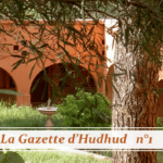 Newsletter n°1 de Tazert