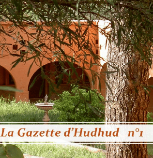 Newsletter n°1 de Tazert